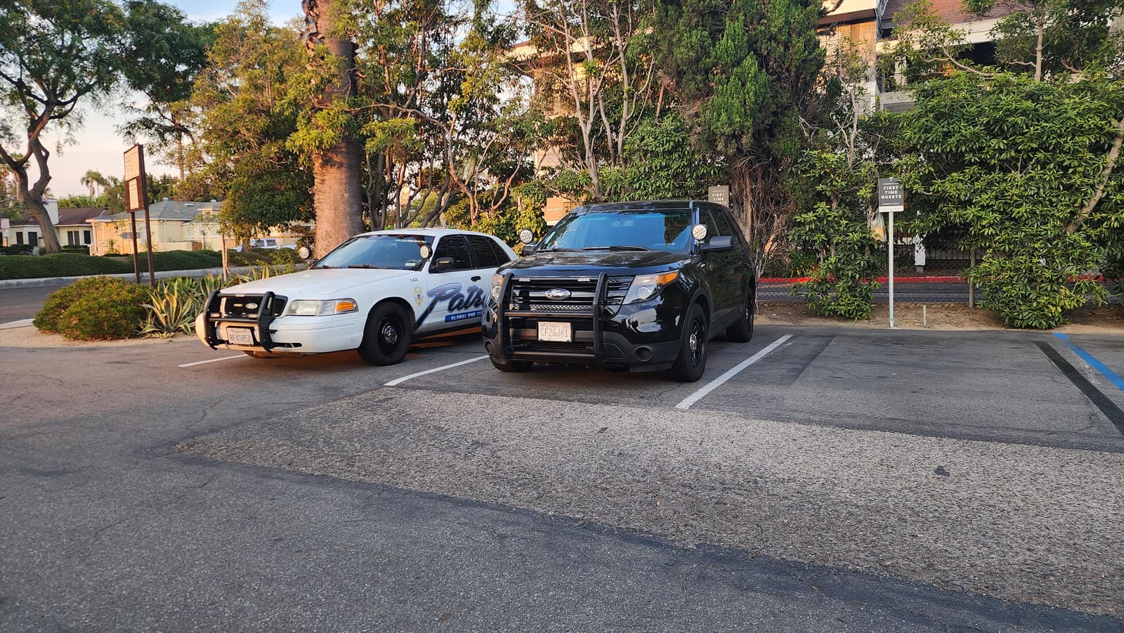 The fleet staged for evening patrol