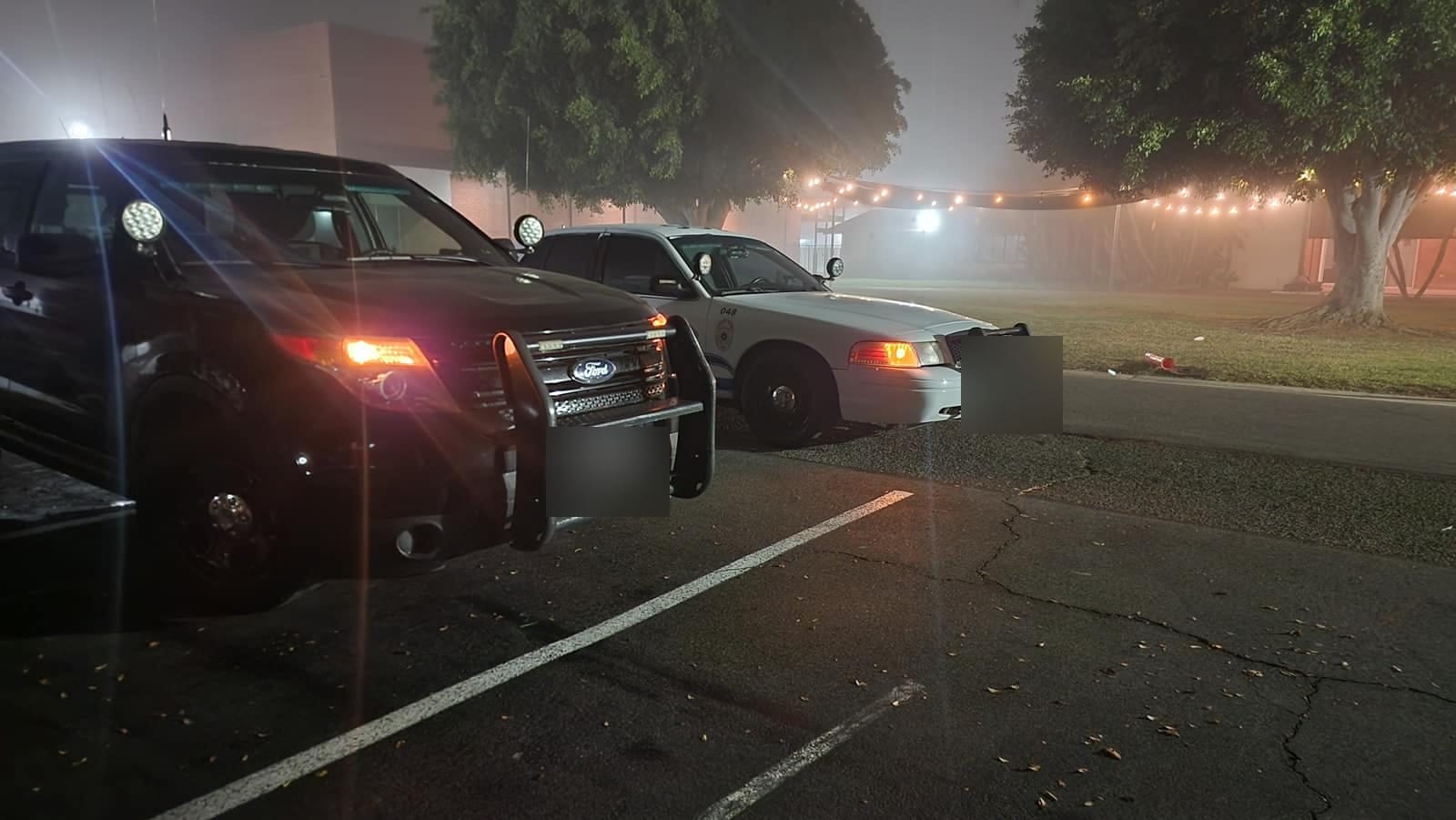 Units lined up in the morning fog